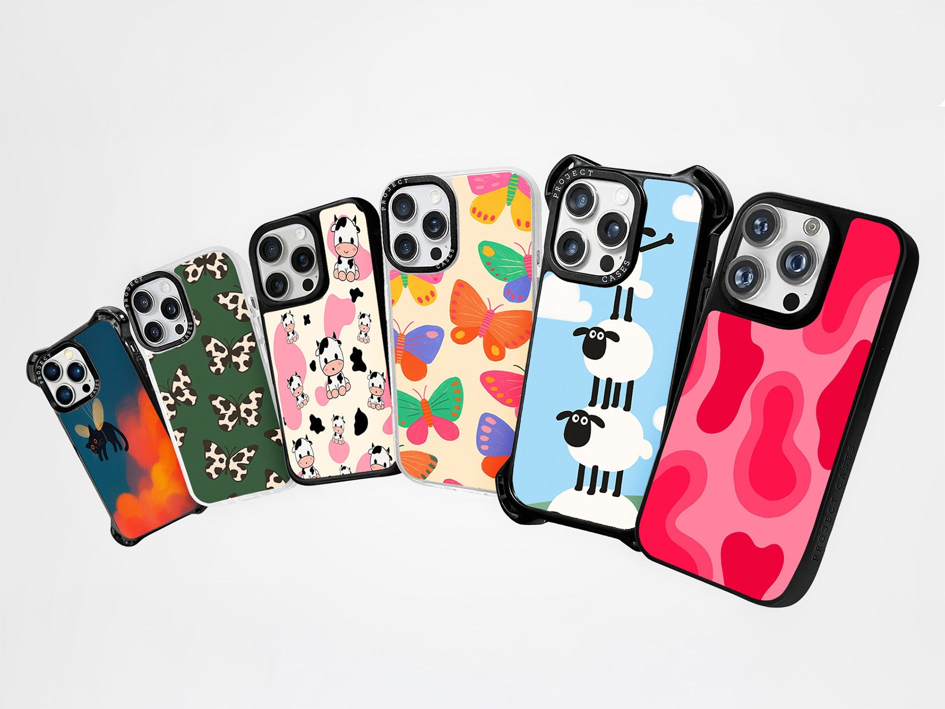 ALL CASES – Project cases.