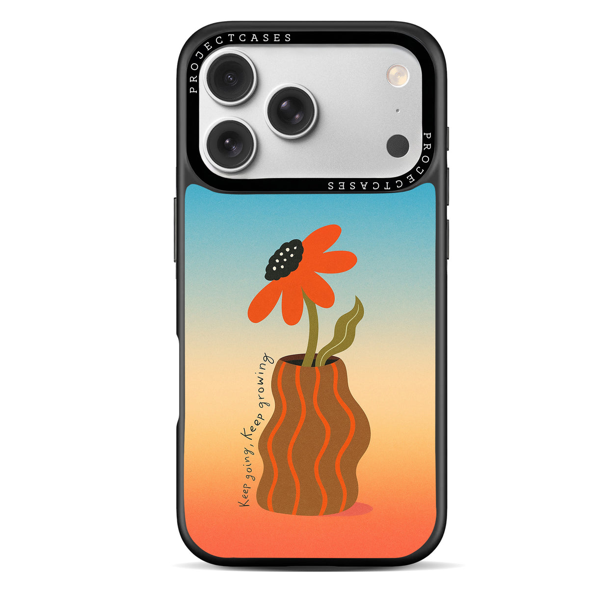 Project cases.